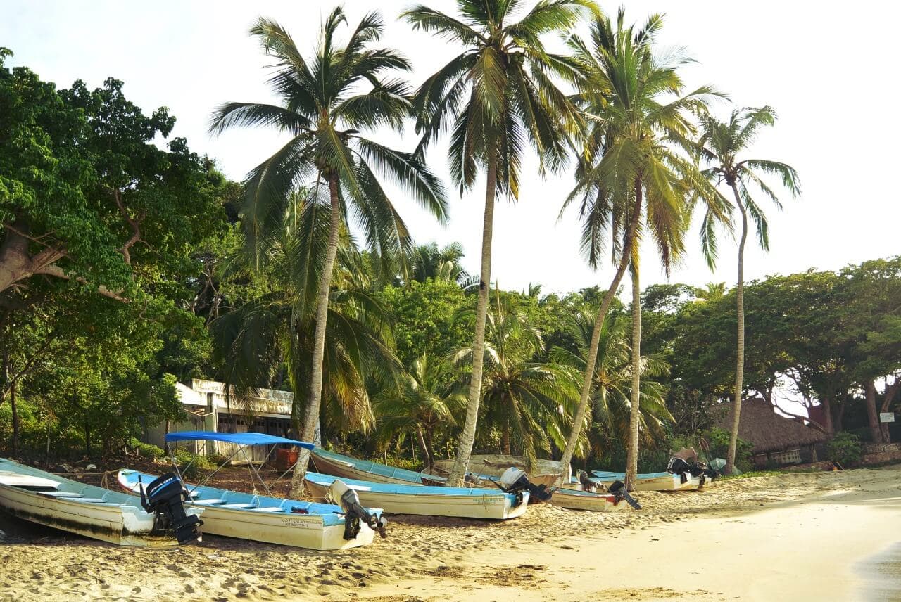 North Shore North Shore